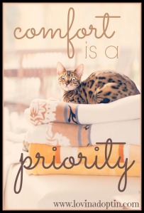comfort priority
